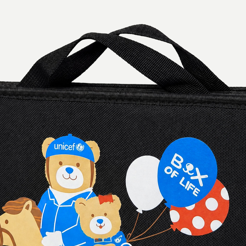 Car storage bag SKU 2501