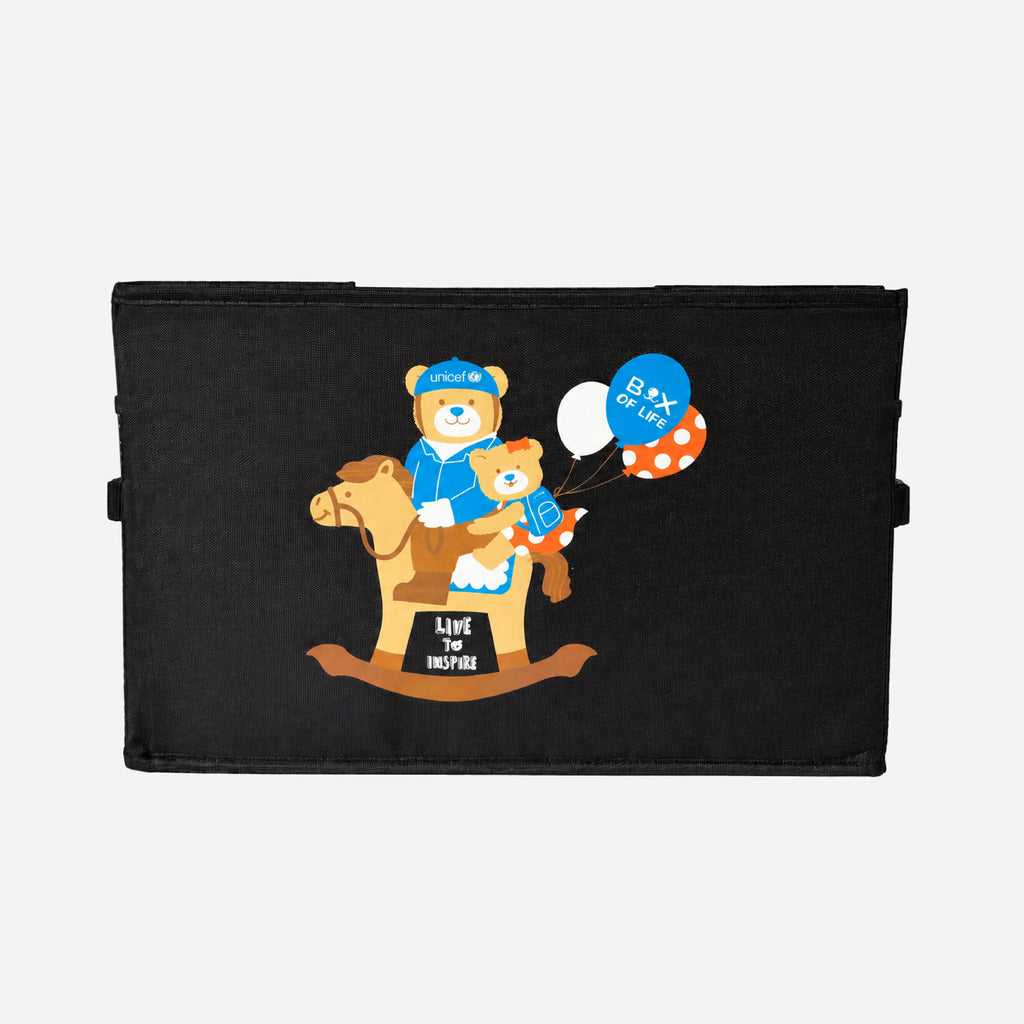 Car storage bag SKU 2501