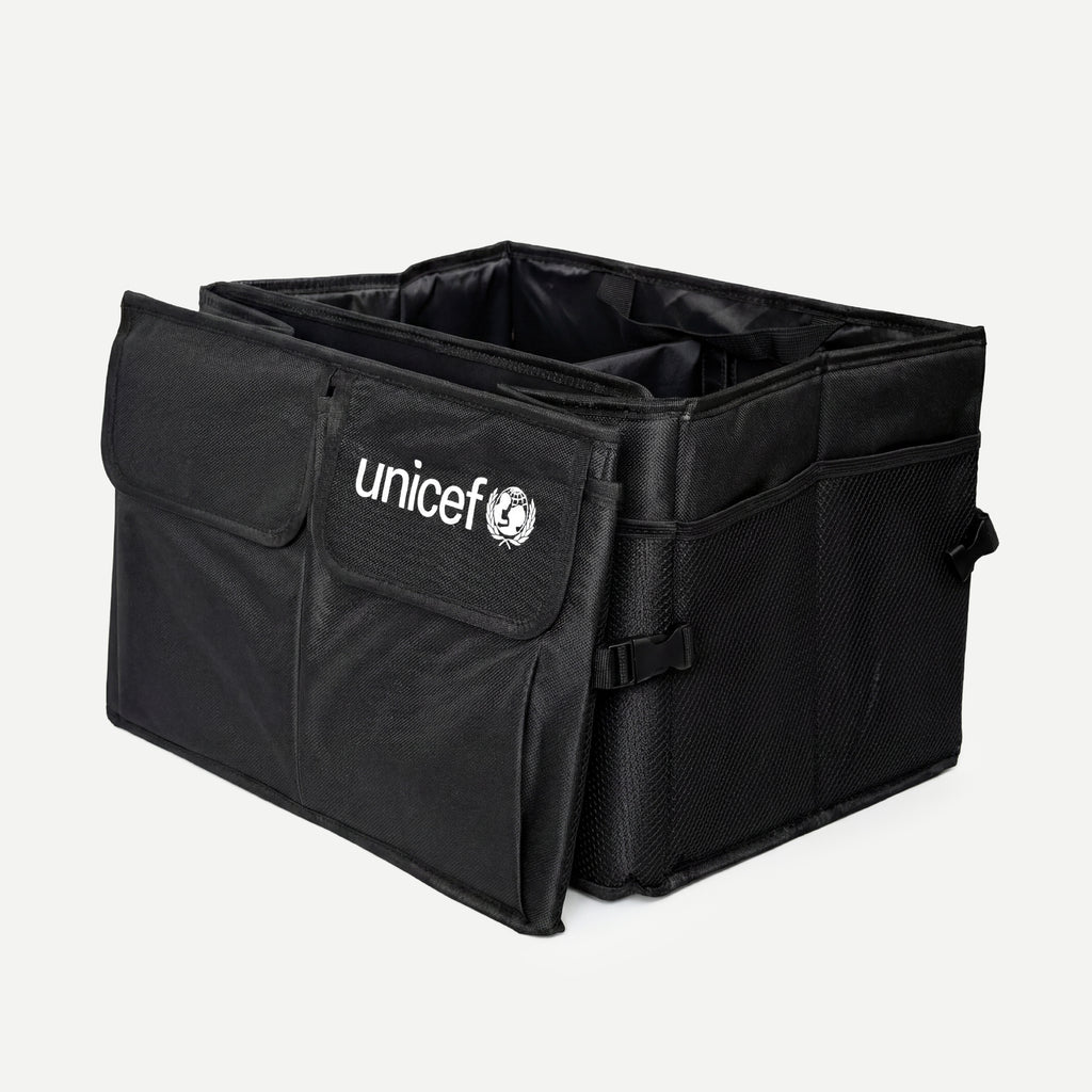 Car storage bag SKU 2501